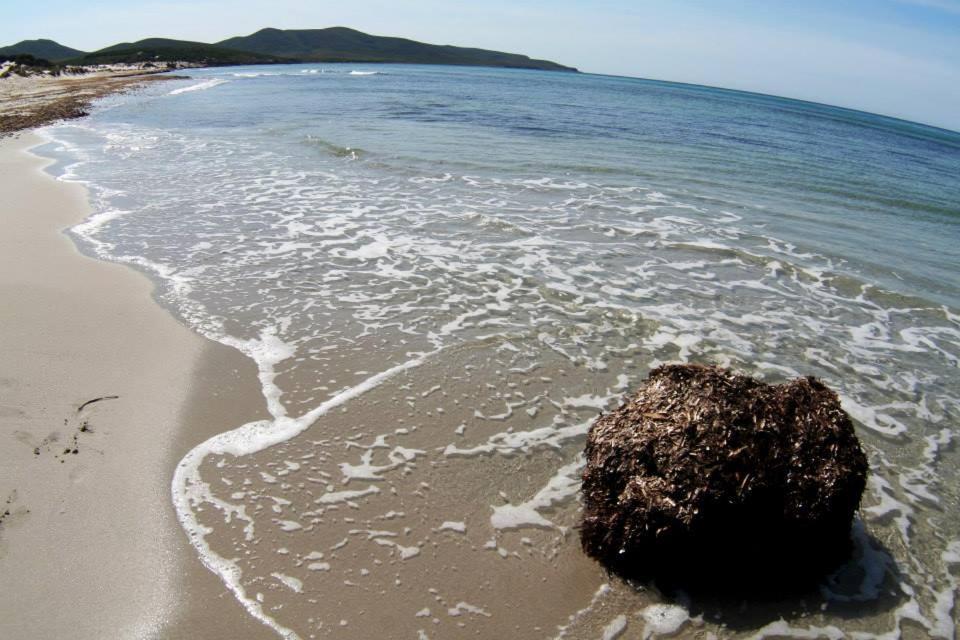 La Contea Bed & Breakfast Sant'Anna Arresi Bagian luar foto
