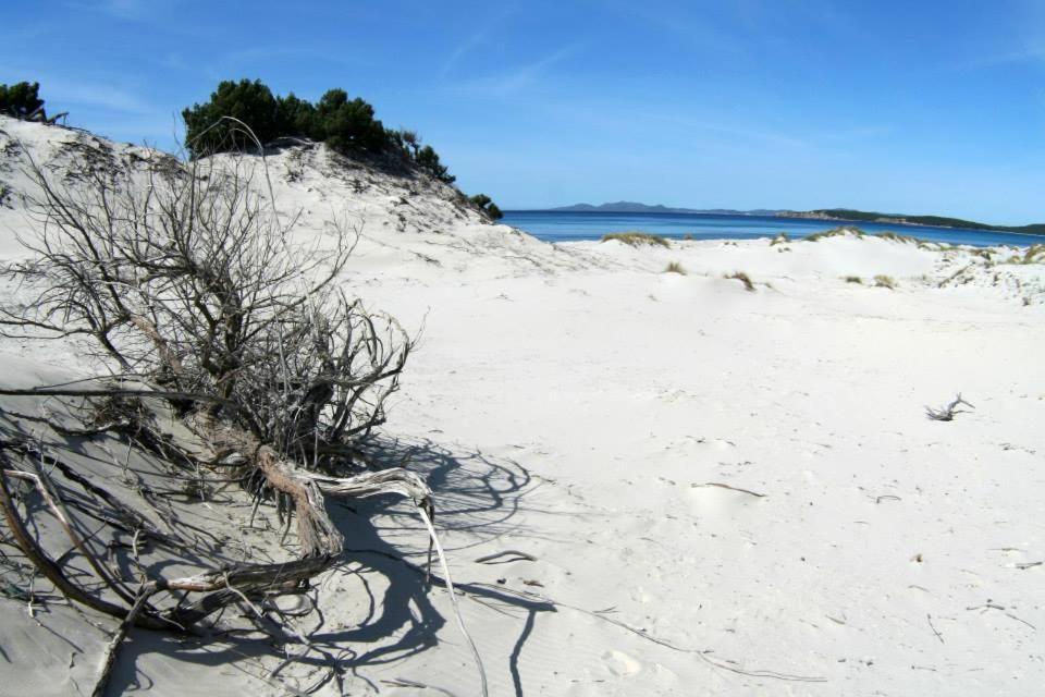 La Contea Bed & Breakfast Sant'Anna Arresi Bagian luar foto