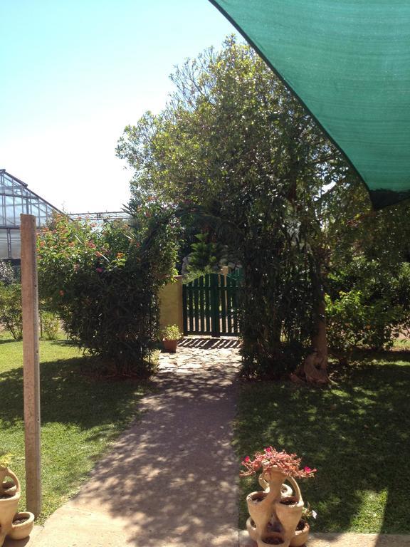 La Contea Bed & Breakfast Sant'Anna Arresi Bagian luar foto