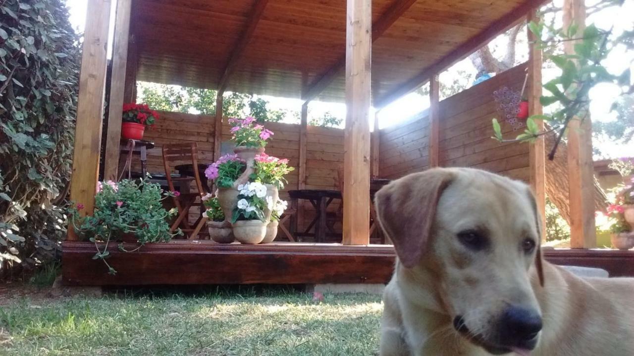 La Contea Bed & Breakfast Sant'Anna Arresi Bagian luar foto